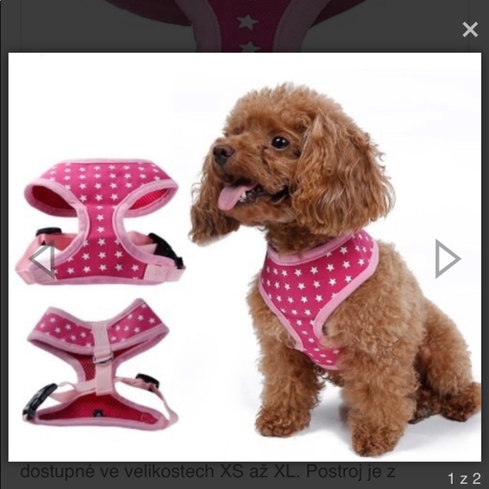 Large mesh dog harness /leash